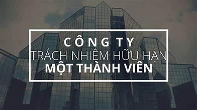 8 VIỆC PHẢI LÀM SAU KHI THÀNH LẬP CÔNG TY TNHH MỘT THÀNH VIÊN