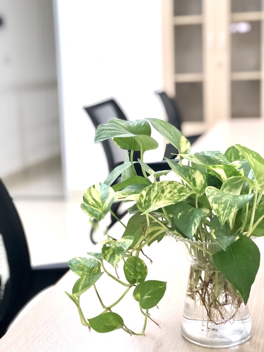 Không gian chỗ ngồi cố định